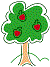 apple tree