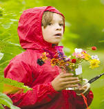 picking a bouquet of flowers