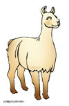 llama