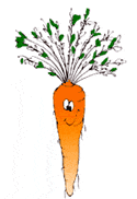 carrot