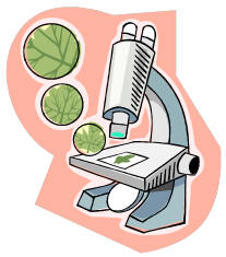 microscope